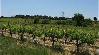 Domaine Galtier