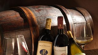 Tuscan Bolgheri Wine Tour & Tasting at Terre Del Marchesato