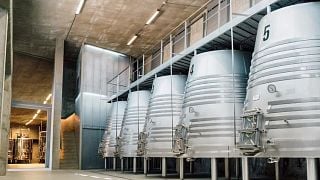 Cata de vinos en medio de los viñedos de la Milla de Oro en Ribera del Duero