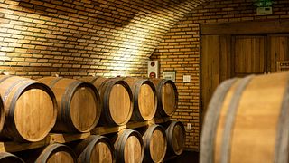Cata de vinos y visita a la Bodega Ladora