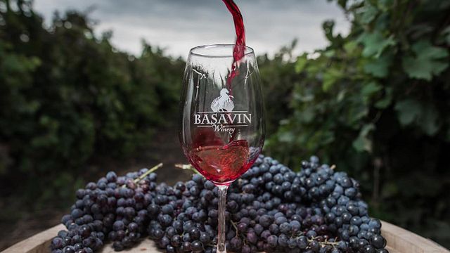 Degustação de vinhos e tour na vinícola Basavin