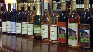 Cata de vinos y visita al viñedo de Baxter