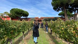 Ribera del Duero-tur: Tre vingårdar och lunch från Madrid