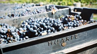 Premiumupplevelse på Huarpe Riglos Family Wines