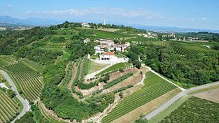 Dégustation et visite de vins traditionnels à l'Azienda Agricola Aldo Adami