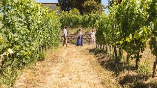 Pic Nic in Vigna