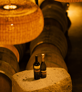 Degustazione di vini e tour a Viña Santa Berta