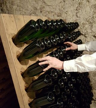 Champagne Poirot: Vineyard Stroll & Cellar Tasting