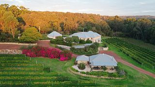 Cape Naturaliste Vineyard