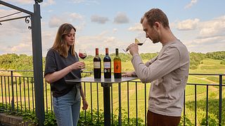Châteaux La Croizille y Tour Baladoz, St-Emilion Grands Crus Classés: cata de vinos en la puerta de la bodega
