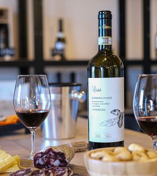 Dégustation de vin – Coccinelle | Cantamessa Vini