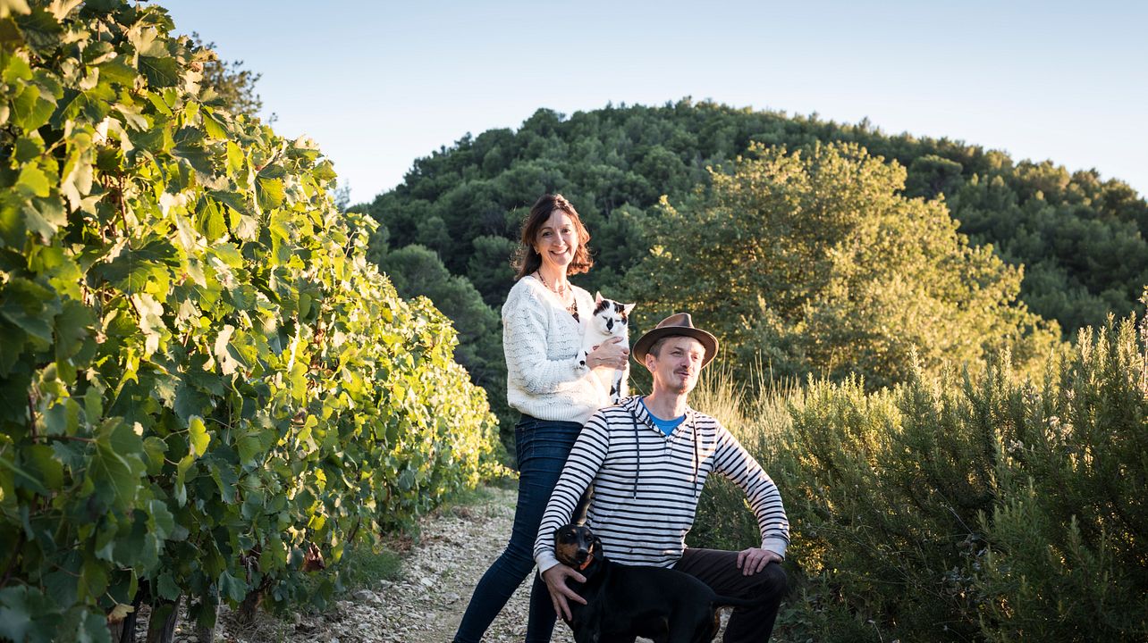 Chateau Cohola