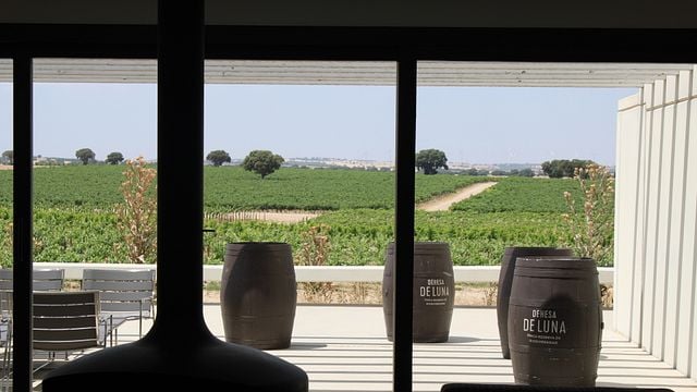 Dégustation de vins et visite à Dehesa de Luna