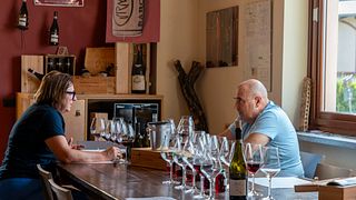 Catas de Barolo EXPERIENCIAS y visitas