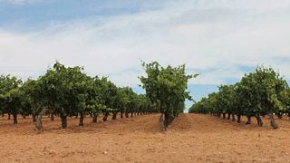 Degustazione di vini e tour alle Bodegas Fuentenarro