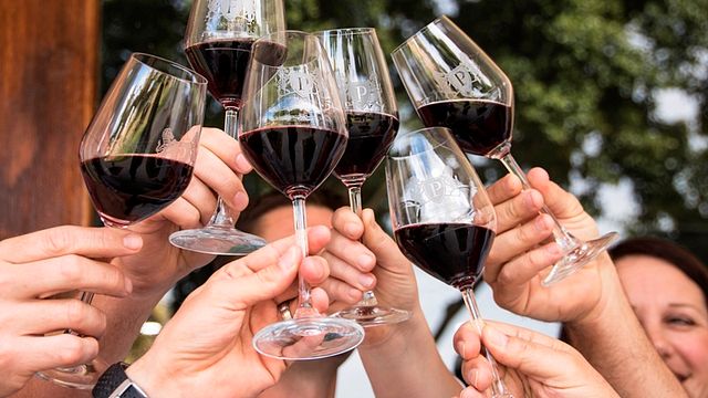 Cata de vinos y visita guiada en Perdeberg