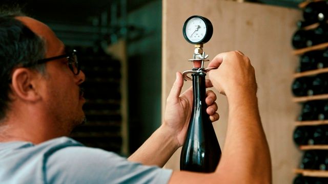 Degustação de vinhos e tour em Federico Mencaroni