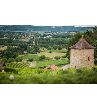 Degustazione di vini e tour a Vignobles Didier Pelvillain