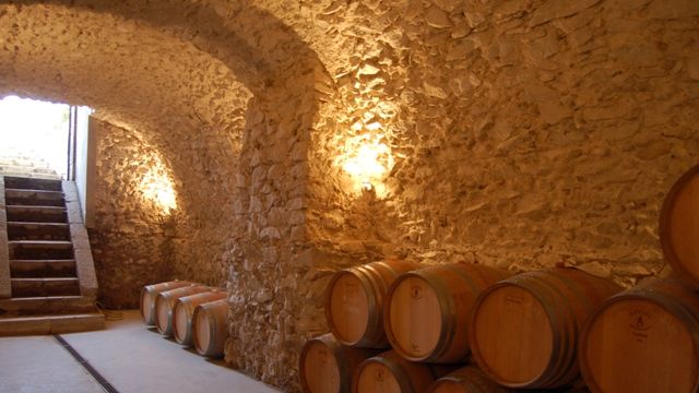 Weinprobe und Tour bei Capolino Perlingieri