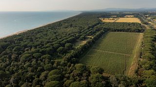 Tenuta Le Colonne: A Gem in Bolgheri
