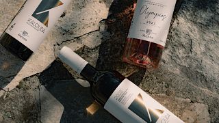 Dégustation de vins au domaine Olenos  