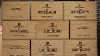 Tasting of 6 wines and guided tour of the Beppe Marino Winery and the Monastery