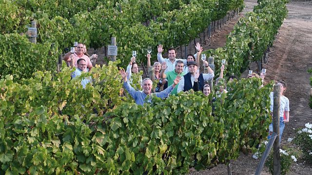 Visite de la cave et dégustation de vin à Invina