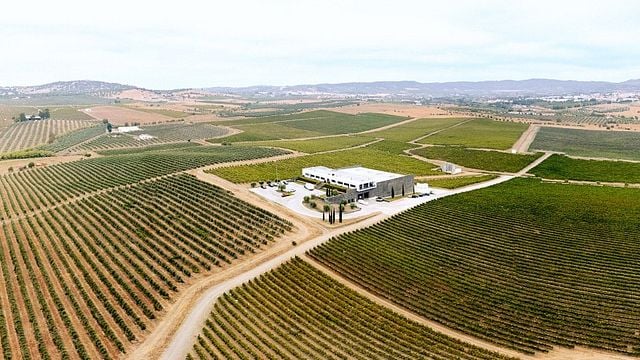 Alentejo Terroir & Tasting at Ribafreixo