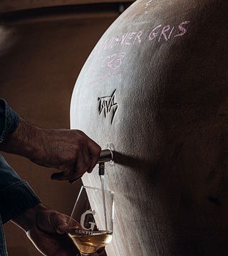 Cantina Gentili