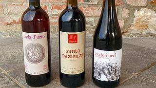 Experiencia croata en Filarole