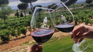 Degustazione di vini popolare a Bodegas Hnos