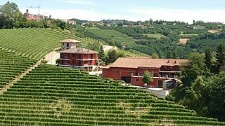 Weinprobe und Tour in der Cantina Oriolo