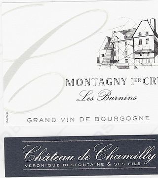 Dégustation et visite de vins « Amateur » au Château de Chamilly