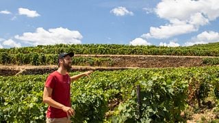 Tour storico della valle del Douro: borghi antichi, cantina, crociera e pranzo