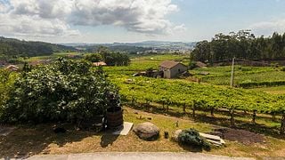 Visite et dégustation de vins aux Bodegas Santiago Roma