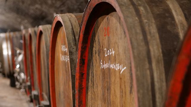 Prinz Salm Winery