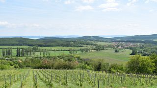 Balaton Vineyard Tour & Lakeside Wine Tasting