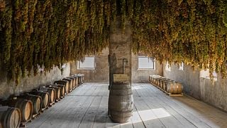 Veneto Garganega Wine & Vineyard Journey - Terroir
