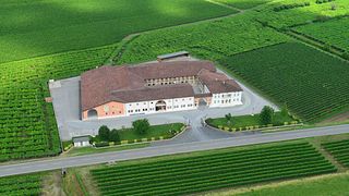 Tour privato 100% esperienza Garganega