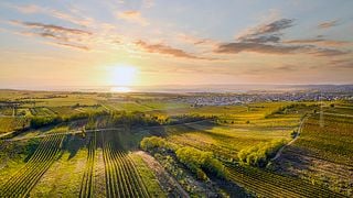 Degustazione di vini e visita alla Weingut Karin Habersack