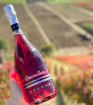 EXPERIENCIA LAMBRUSCO