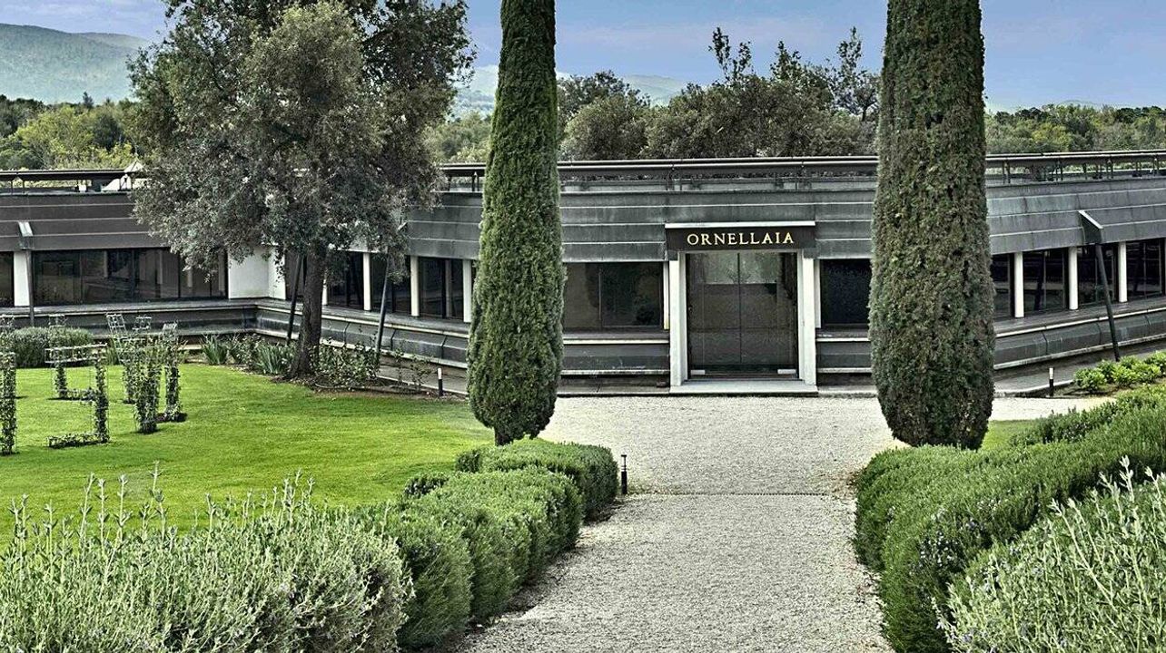 Tenuta dell’Ornellaia
