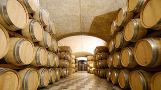 Nature Experience in Fattoria Didattica a Brognoligo