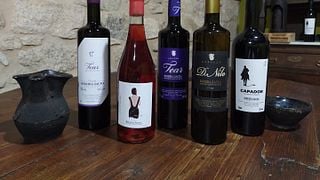 Degustação de vinhos premium e tour na Adega Tear