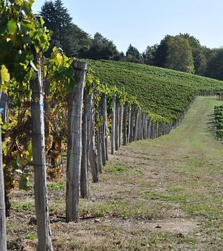 Degustazione di vini e tour presso La Cave Des Producteurs De Jurançon