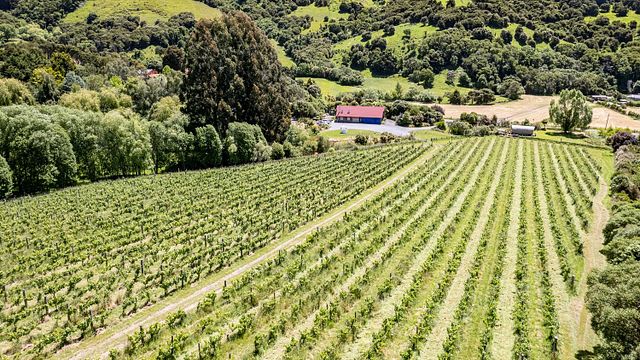Allstar-Erlebnis | French Peak Vineyard