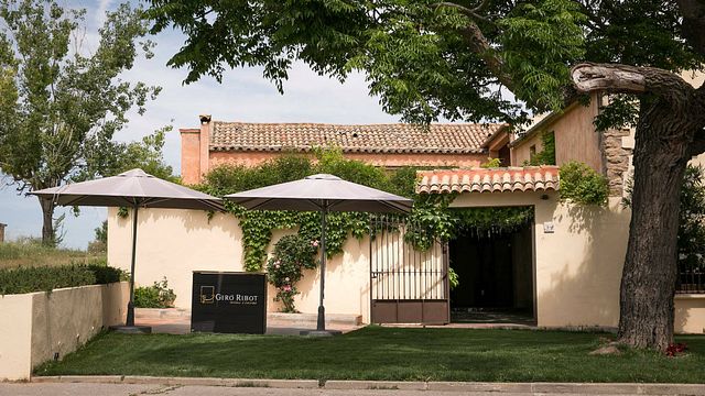 Degustação de vinhos e tour no Giró Ribot