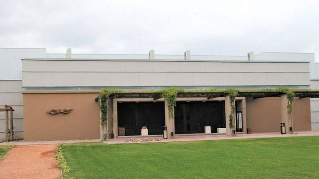 Degustazione e tour di vini alla Bodega Trivento