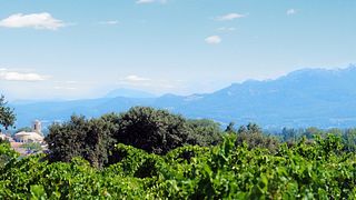 Domaine Saint Laurent