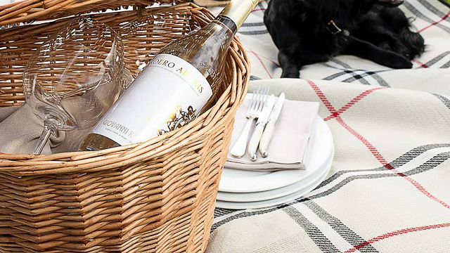 Piedmont Barolo Wine & Vineyard Adventure